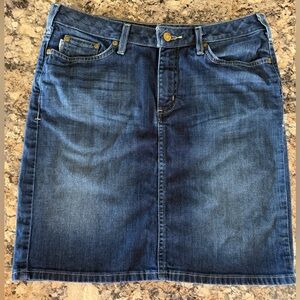 Carhartt Denim Jean Skirt Size 6 Dark Wash Original Fit
